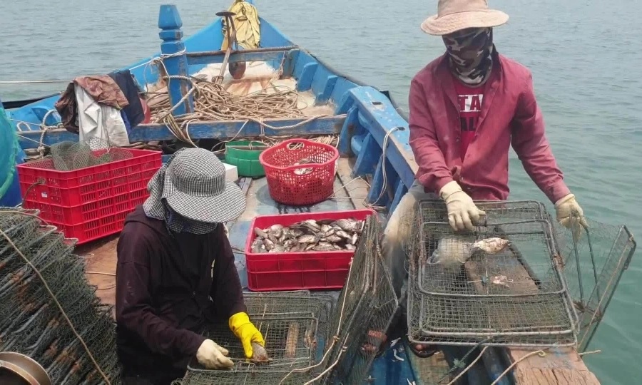 Nghề khai thác ghẹ Việt Nam đáp ứng tiêu chuẩn bảo vệ động vật biển theo MMPA