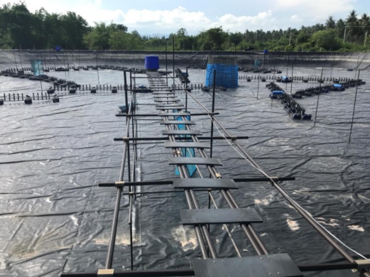 Trung Quốc và Thái Lan tăng cường hợp tác thủy sản