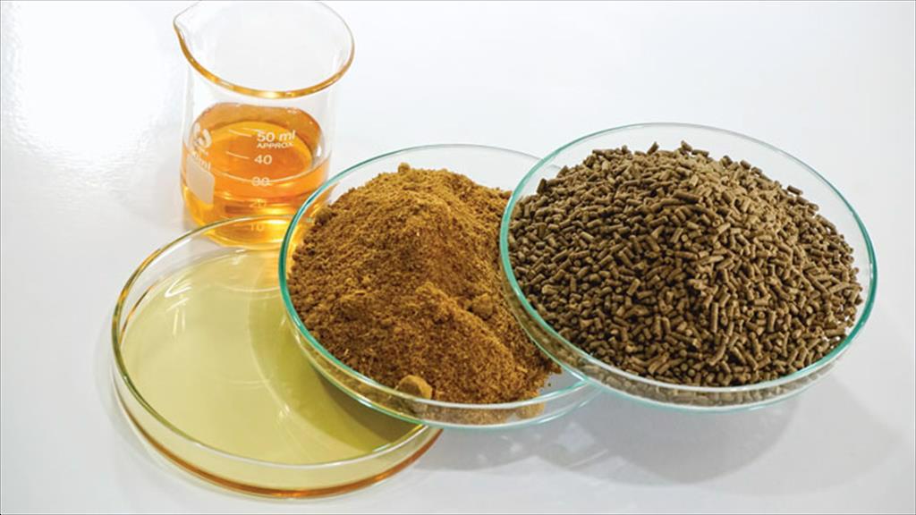 Thúc đẩy minh bạch thương mại và tiêu chuẩn bền vững trong chuỗi cung ứng