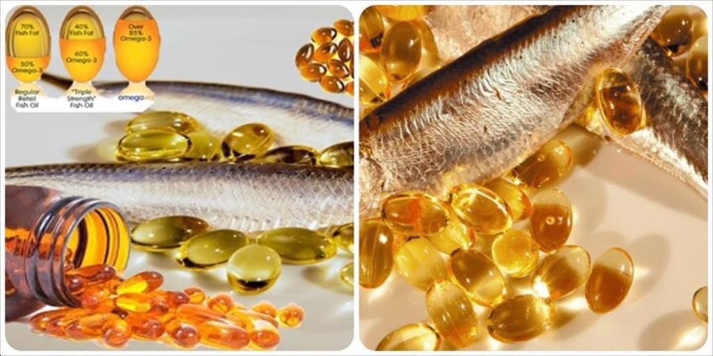 Thị trường dầu cá trong thực phẩm chức năng tăng trưởng mạnh