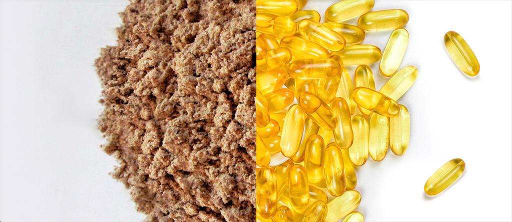 Khu vực châu Á – Thái Bình Dương nổi lên như trung tâm chế biến mới của ngành bột cá