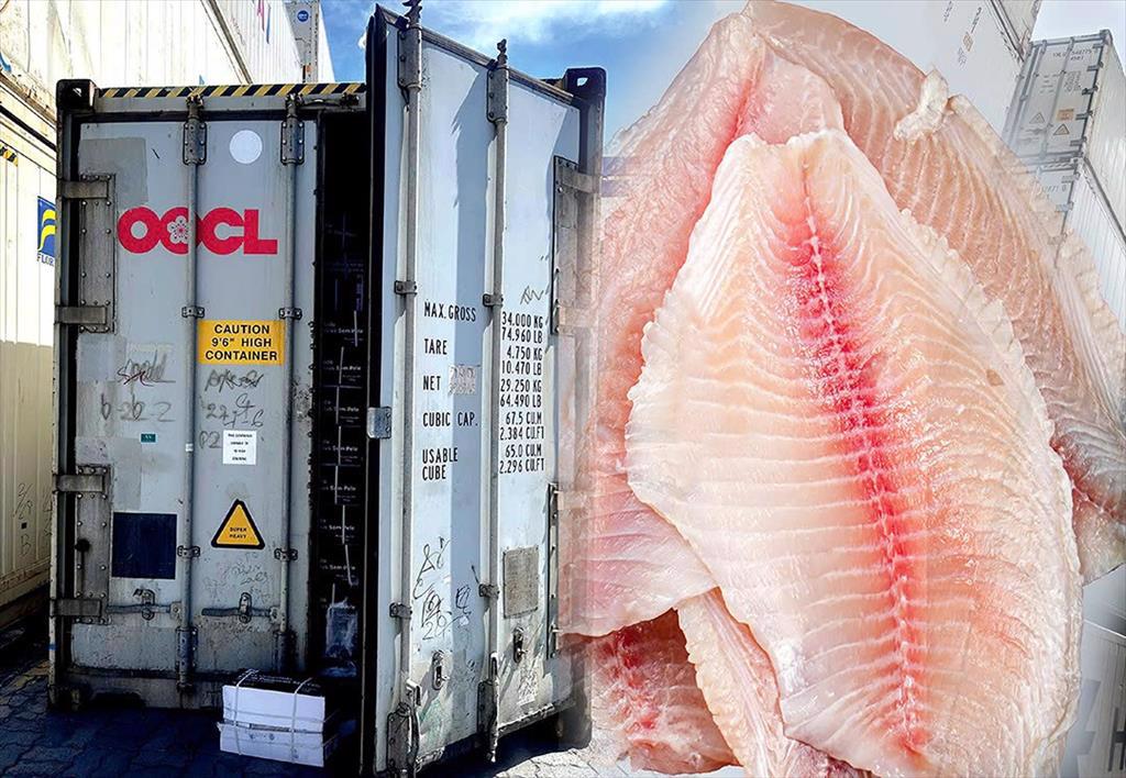 Headway JSC tăng trưởng ấn tượng trong vận chuyển cá tra xuất khẩu sang Brazil năm 2025