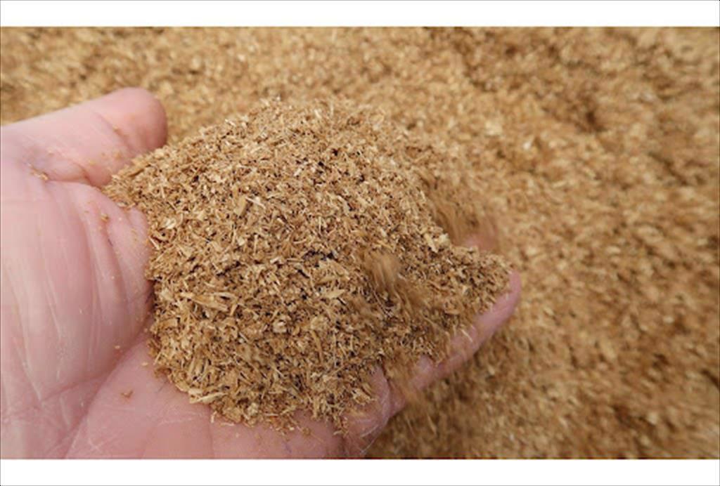 Châu Âu nghiên cứu dùng phụ phẩm nông nghiệp thay thế đậu nành trong thức ăn cho cá hồi 