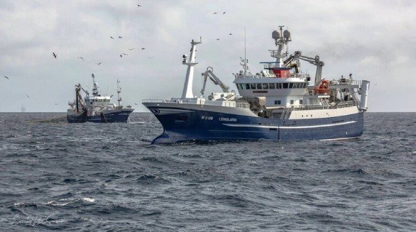 Na Uy sắp hoàn tất vụ khai thác cá tầng giữa  