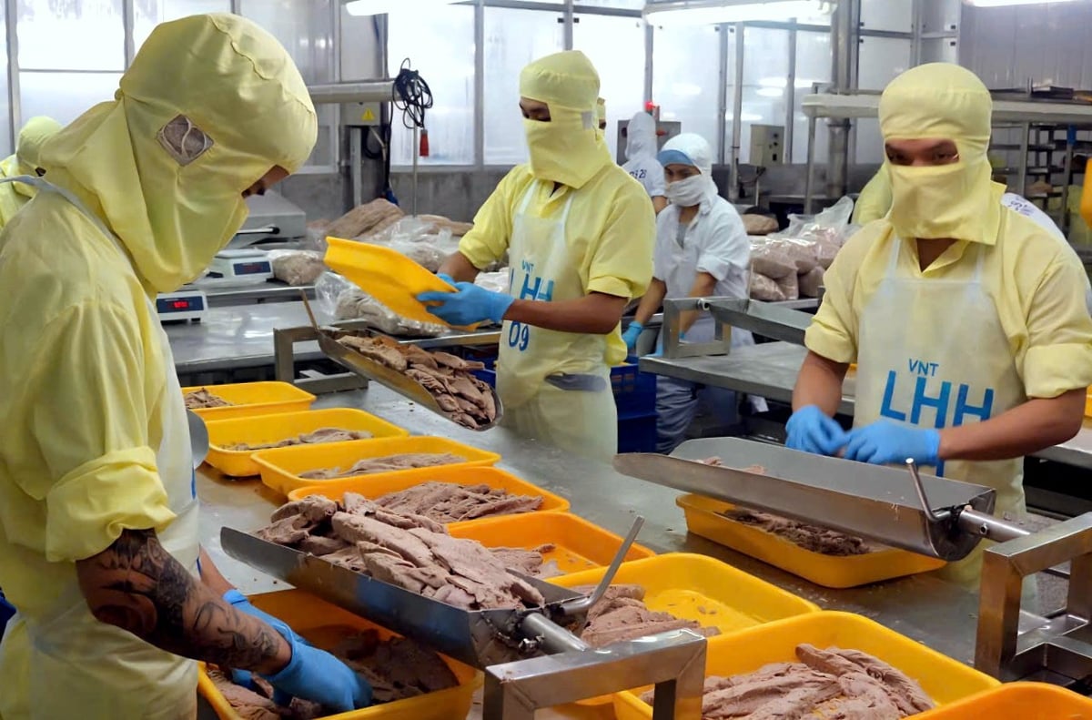 Cá ngừ Việt Nam trước “cửa thuế 0%” tại Mỹ Cơ hội bứt phá nhưng không ít thách thức