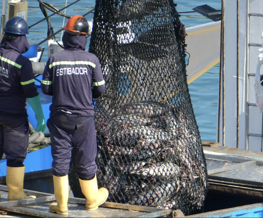 Ecuadors tuna exports surge – Short-term opportunities, long-term challenges for Vietnam