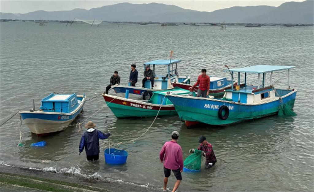 Đắk Lắk Di dời lồng nuôi tôm hùm đến khu vực an toàn