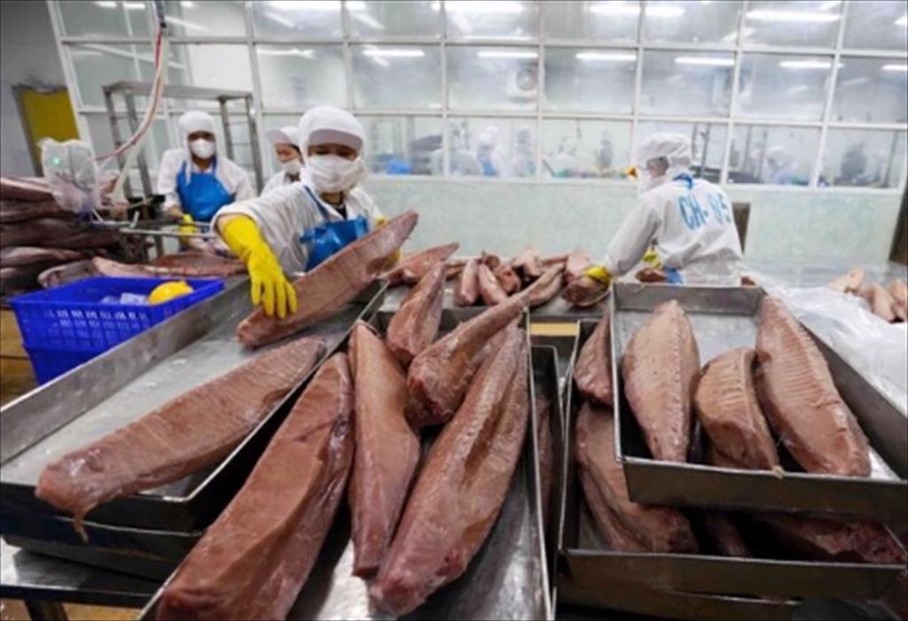 Vietnam’s tuna exports to the Middle East in 2025 – a turbulent year
