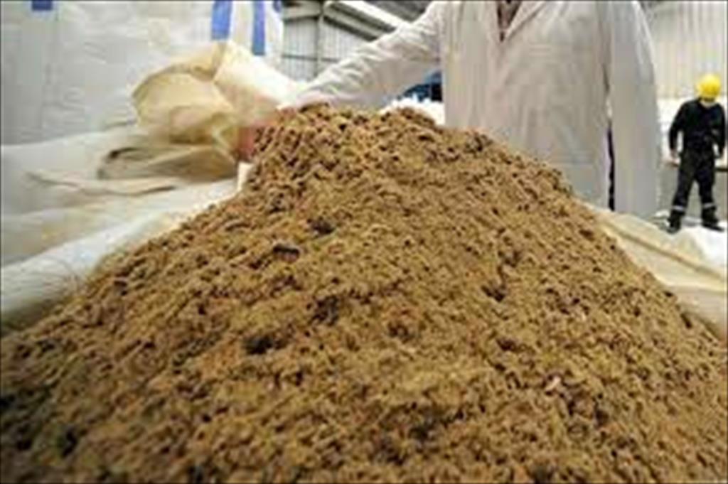 Nguồn nguyên liệu biển cho thức ăn thủy sản đối mặt nguy cơ thiếu hụt