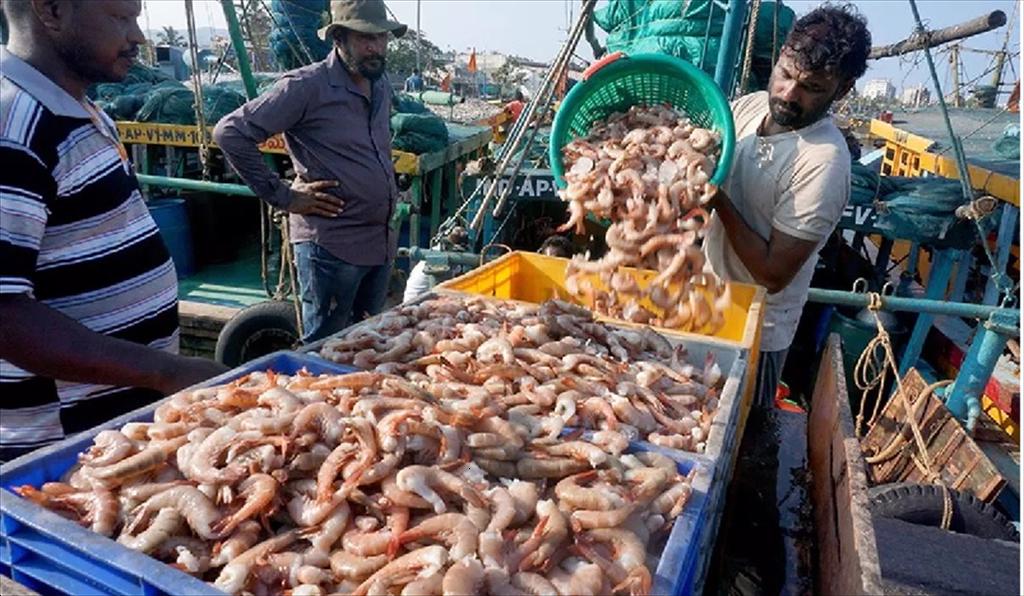 Ấn Độ kêu gọi đa dạng hóa thị trường thủy sản trước tác động của thuế Mỹ