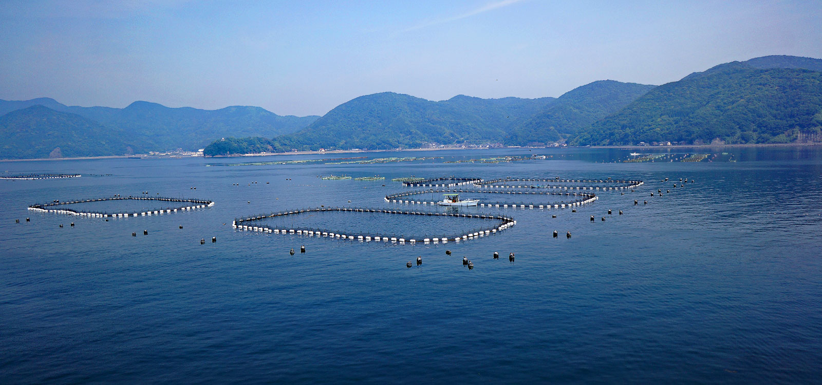 Nhật Bản đẩy mạnh nuôi trồng thủy sản bền vững