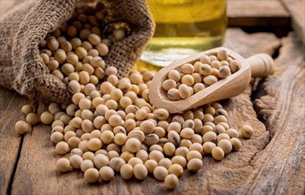 Bangladesh ký cam kết mua 1,25 tỷ USD đậu nành Mỹ