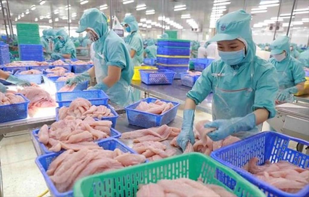 Doanh nghiệp thủy sản bứt phá sau giai đoạn trầm lắng