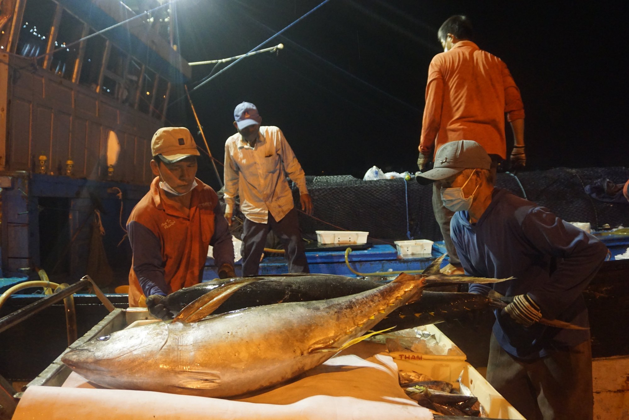 Infographic Xuất khẩu Cá ngừ của Việt Nam 10 tháng đầu năm 2025