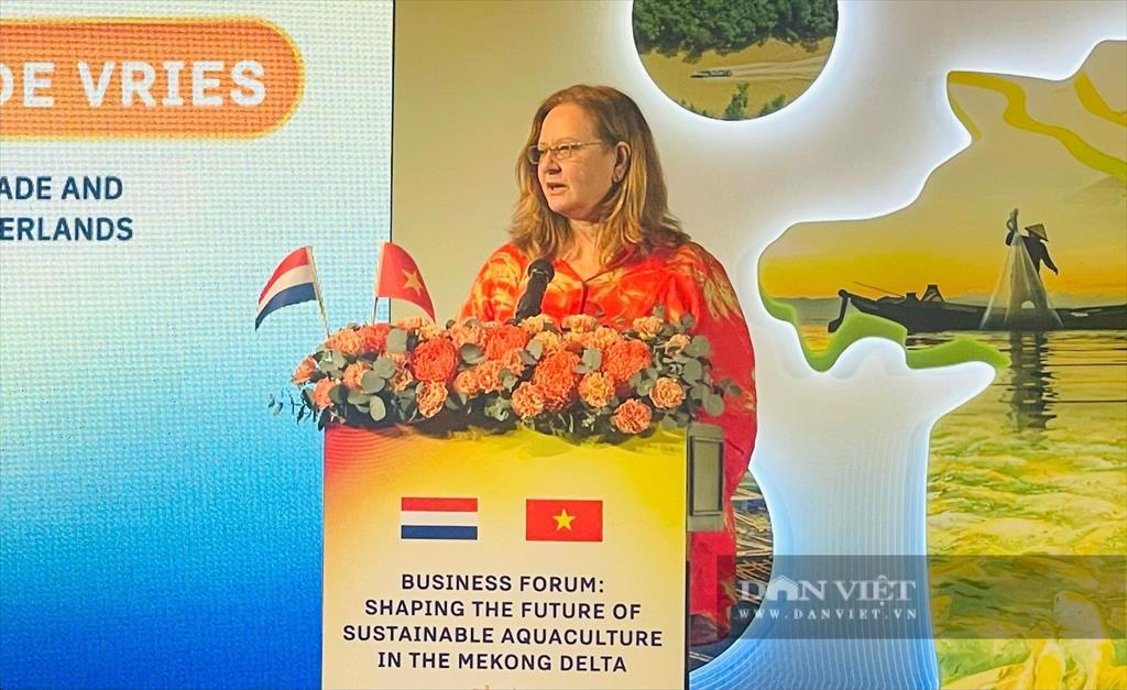 Vietnam and the Netherlands cooperate to build a national brand for a sustainable seafood industry