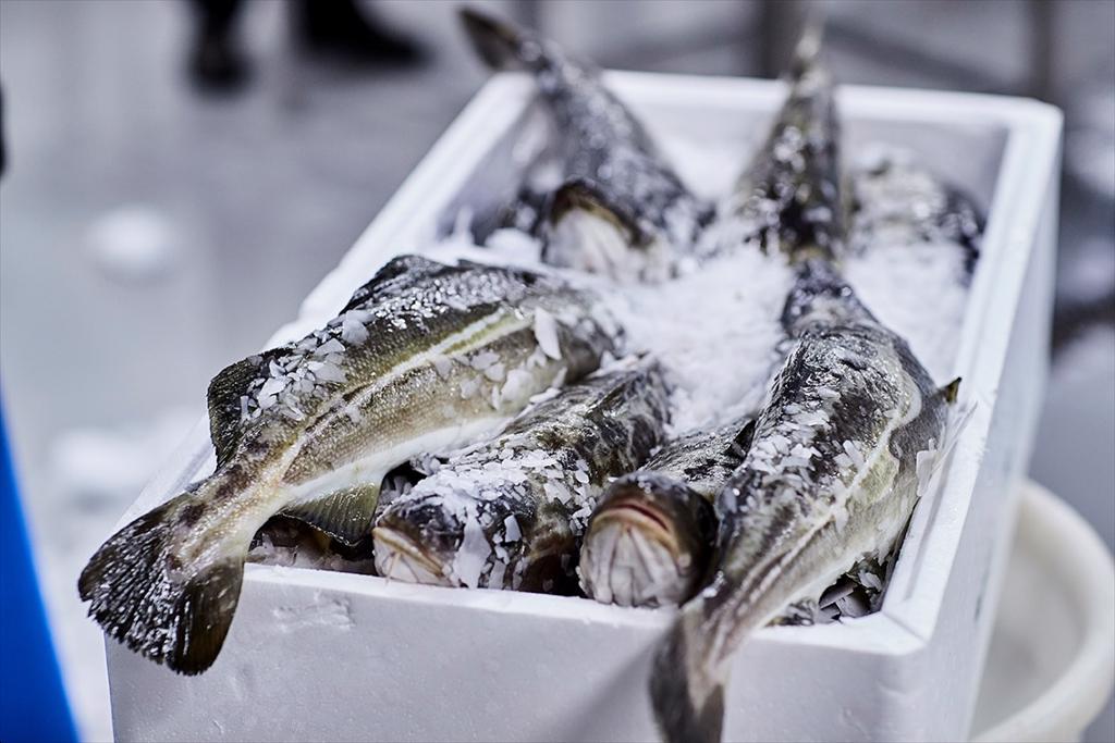 Tập đoàn thực phẩm Bồ Đào Nha mua 18% cổ phần công ty nuôi cá tuyết Norcod