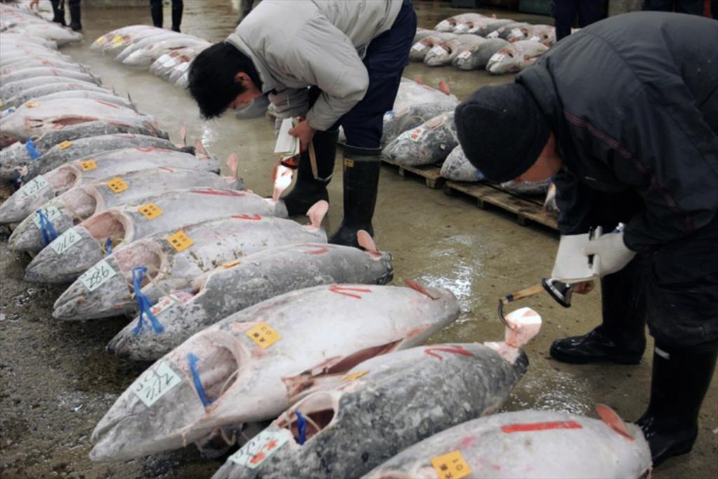 Trung Quốc ngừng nhập khẩu thủy sản Nhật Bản giữa căng thẳng