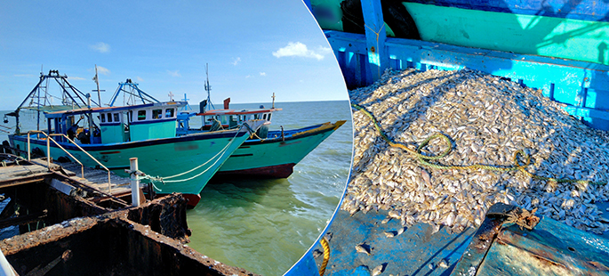 Sri Lanka tập trung hợp tác liên ngành để ngăn chặn đánh bắt trái phép