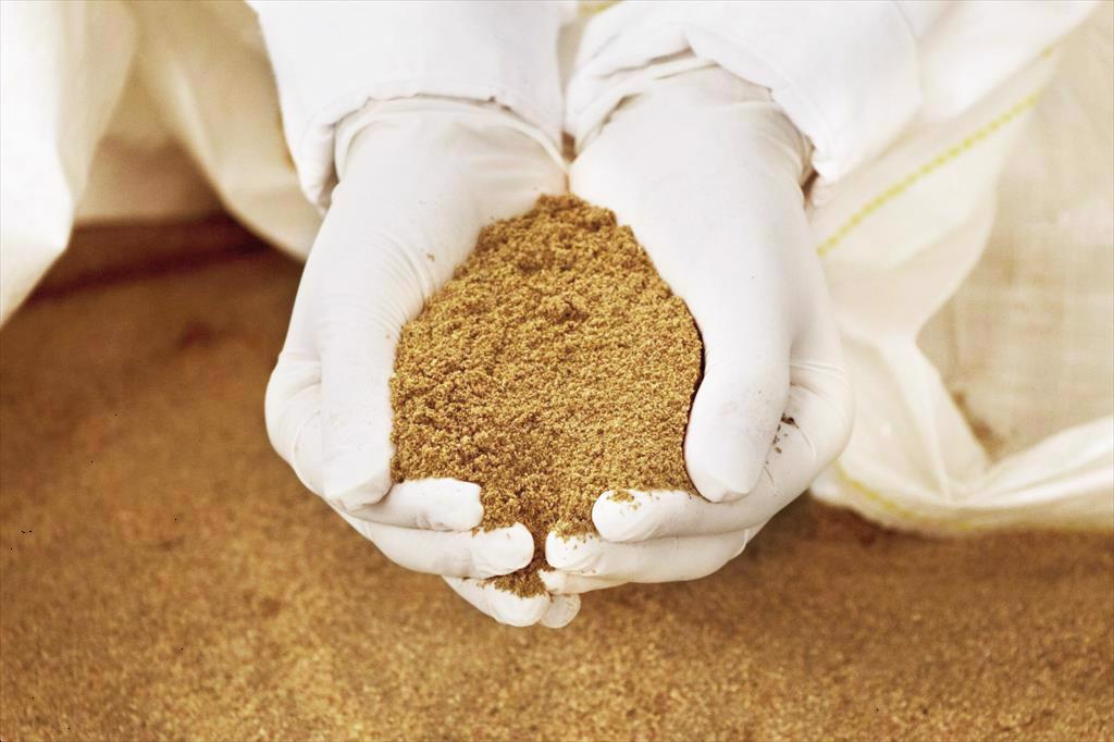 Thiếu hụt bột cá đe dọa ngành nuôi thủy sản