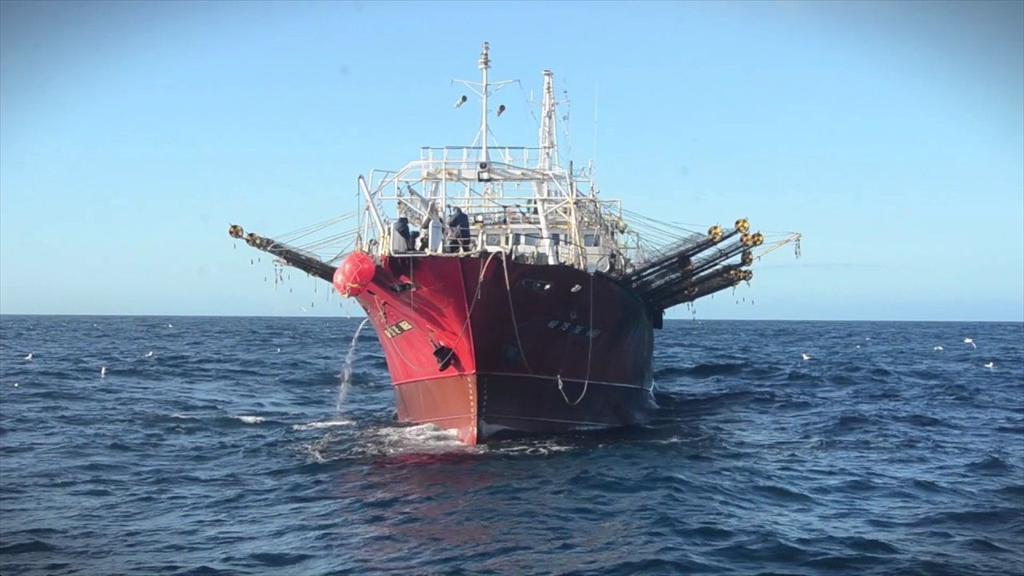 Argentina xem xét mở vụ khai thác mực ống sớm từ tháng 12026