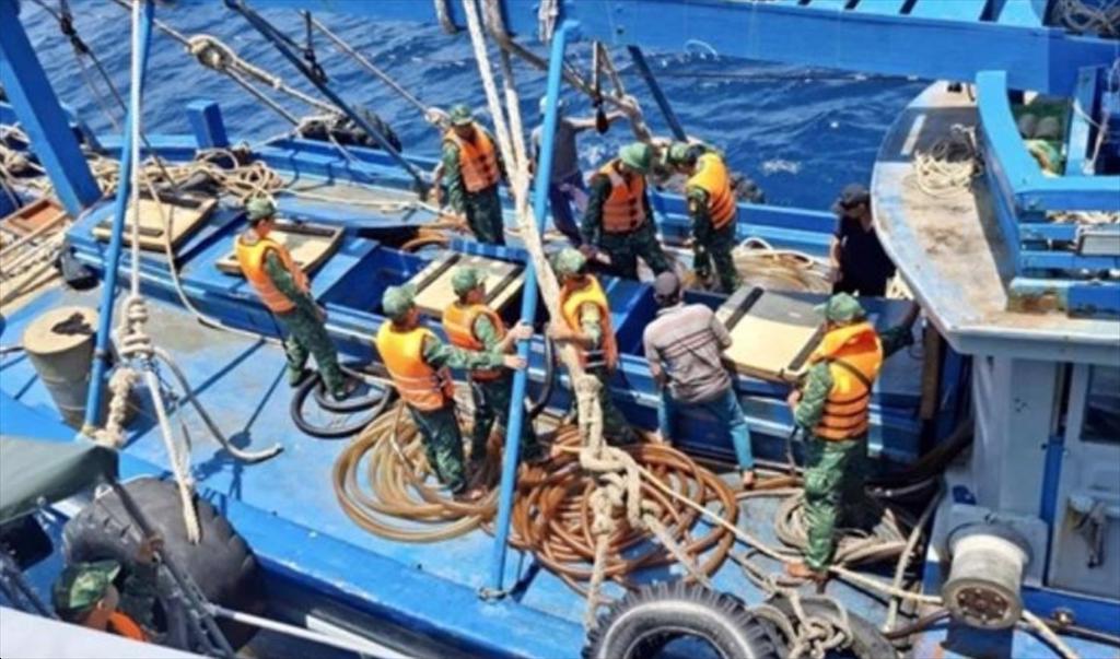 Da Nang city takes strong action against IUU fishing