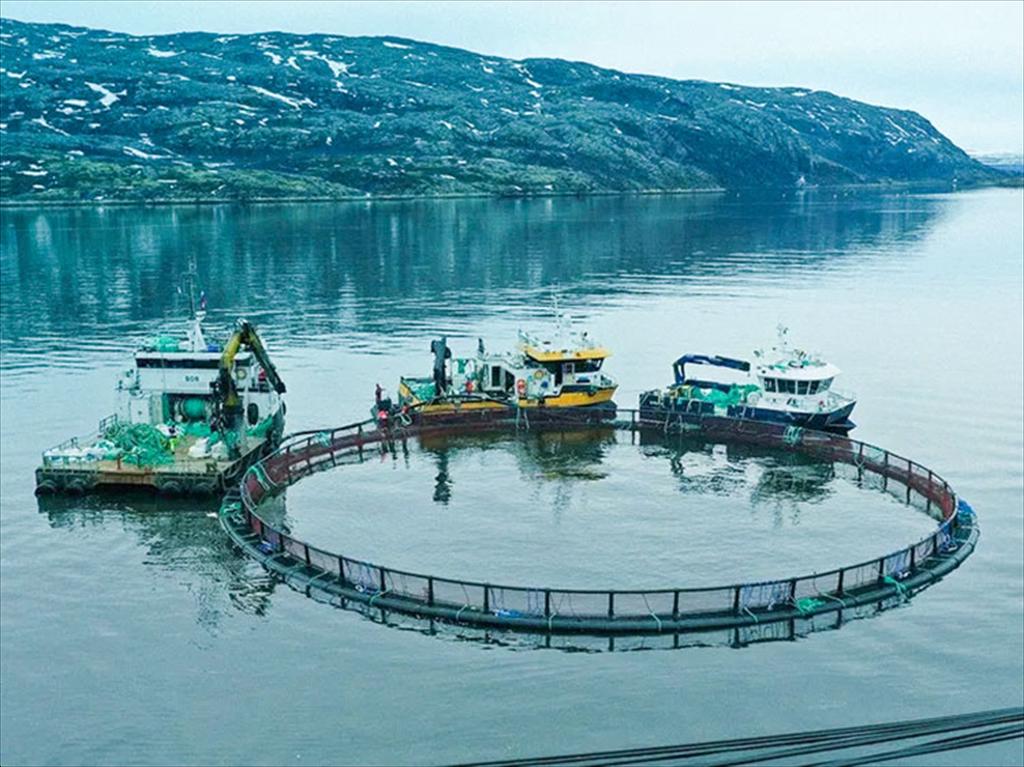 Ngành nuôi trồng thủy sản Nga tăng tốc, hướng mục tiêu 350.000 tấn 