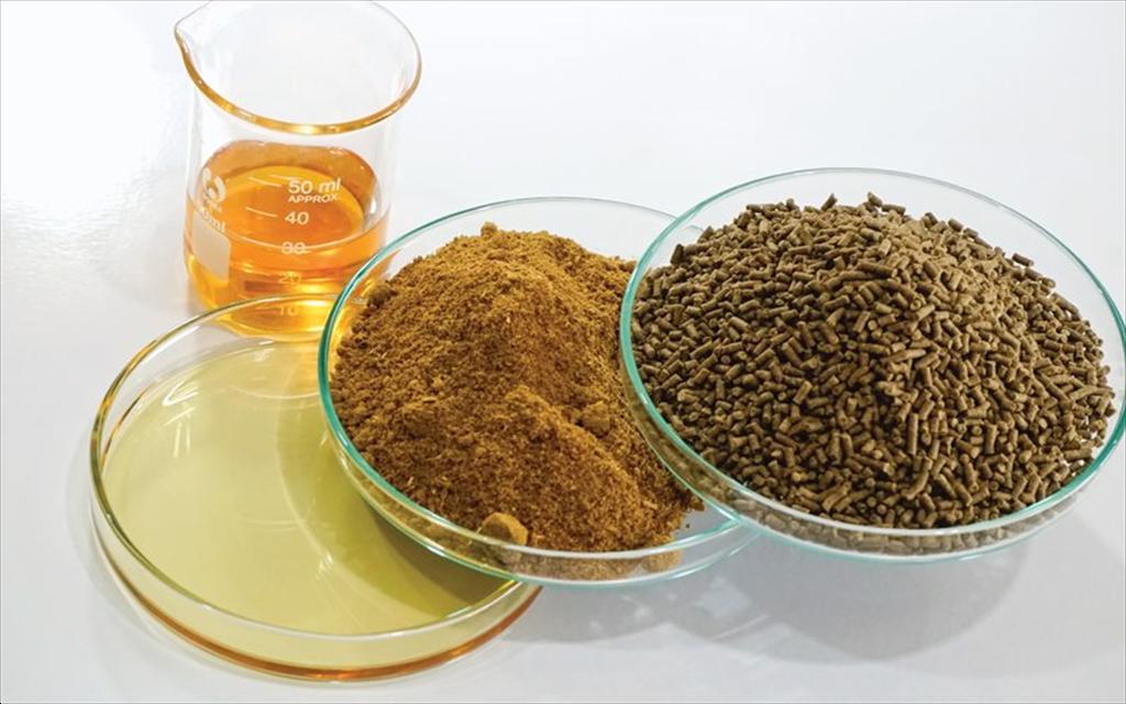 Nga phát triển thức ăn thủy sản từ protein vi sinh