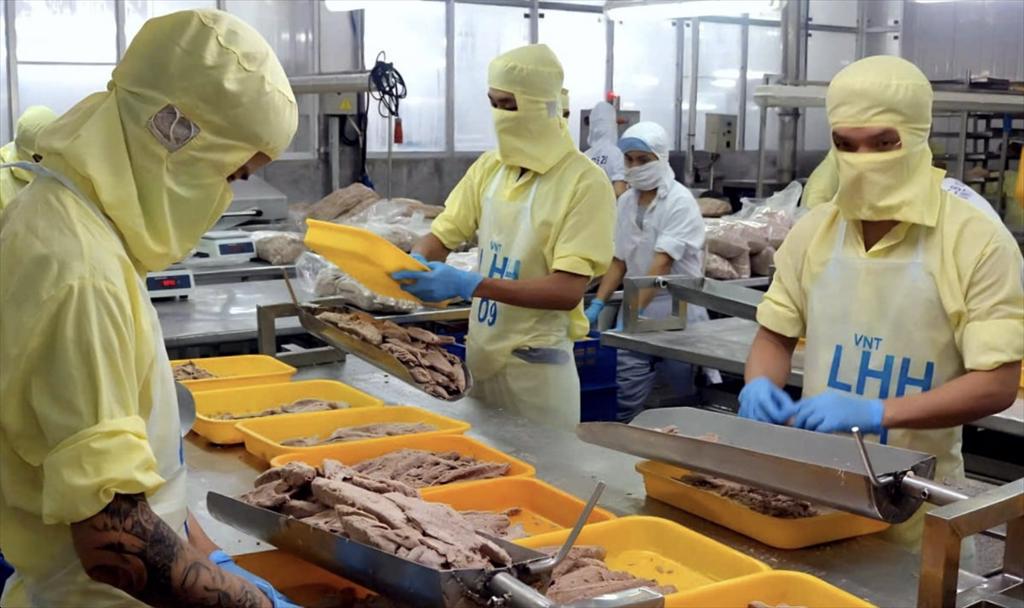 Vietnam’s tuna on the brink of 0% tariffs in the U.S Breakthrough potential but significant challenges remain