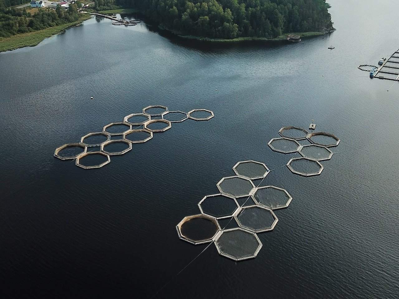 Thị trường nuôi trồng thủy sản Nhật Bản dự báo đạt 21,6 tỷ USD vào năm 2033