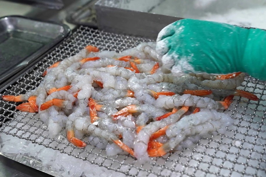 Trung Quốc tăng 10% giá trị nhập khẩu, tôm Việt Nam vững vị trí nhóm dẫn đầu