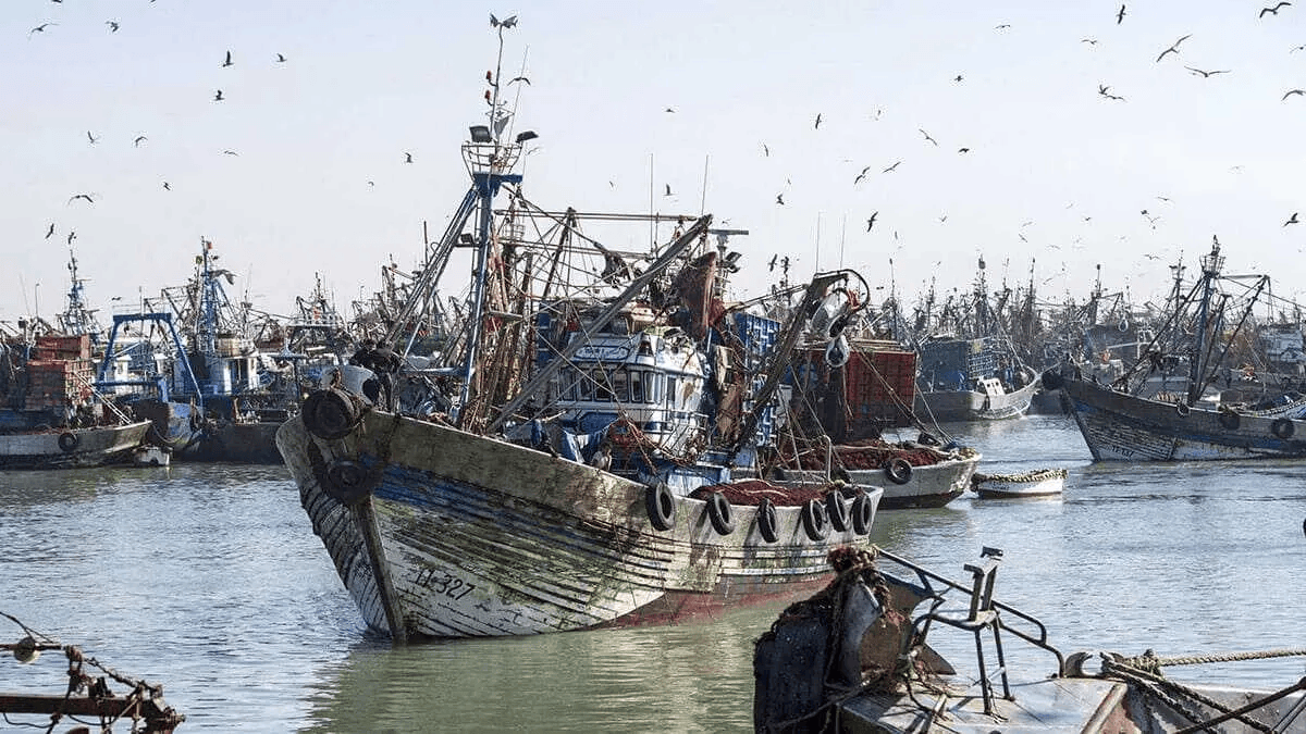 Nga gia hạn thỏa thuận đánh bắt cá với Morocco bất chấp tranh chấp Tây Sahara