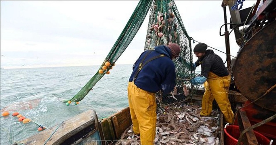 Khai thác thủy sản Địa Trung Hải – Biển Đen ghi nhận mức cải thiện mạnh sau 10 năm