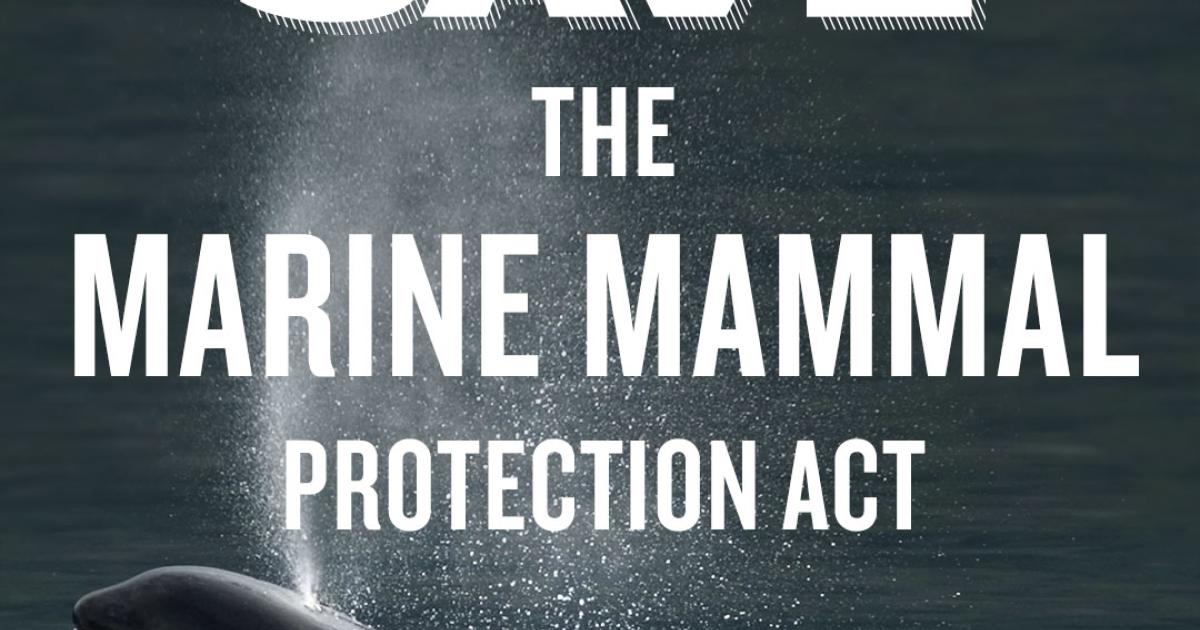 Chứng nhận thuỷ sản, sản phẩm thuỷ sản đạt yêu cầu XK vào Hoa Kỳ (COA)