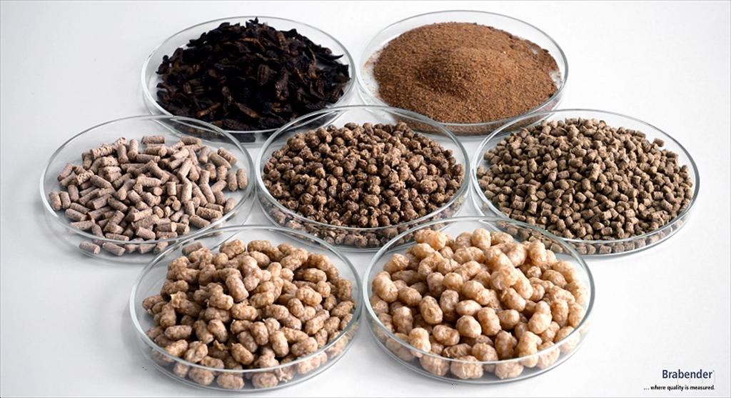 Biến đổi khí hậu đe dọa nguồn cung cá nguyên liệu làm thức ăn thủy sản