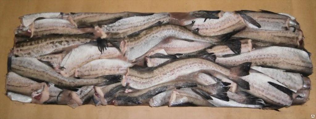 Giá cá minh thái Nga lập đỉnh 10 năm do nhu cầu mạnh từ Trung Quốc 