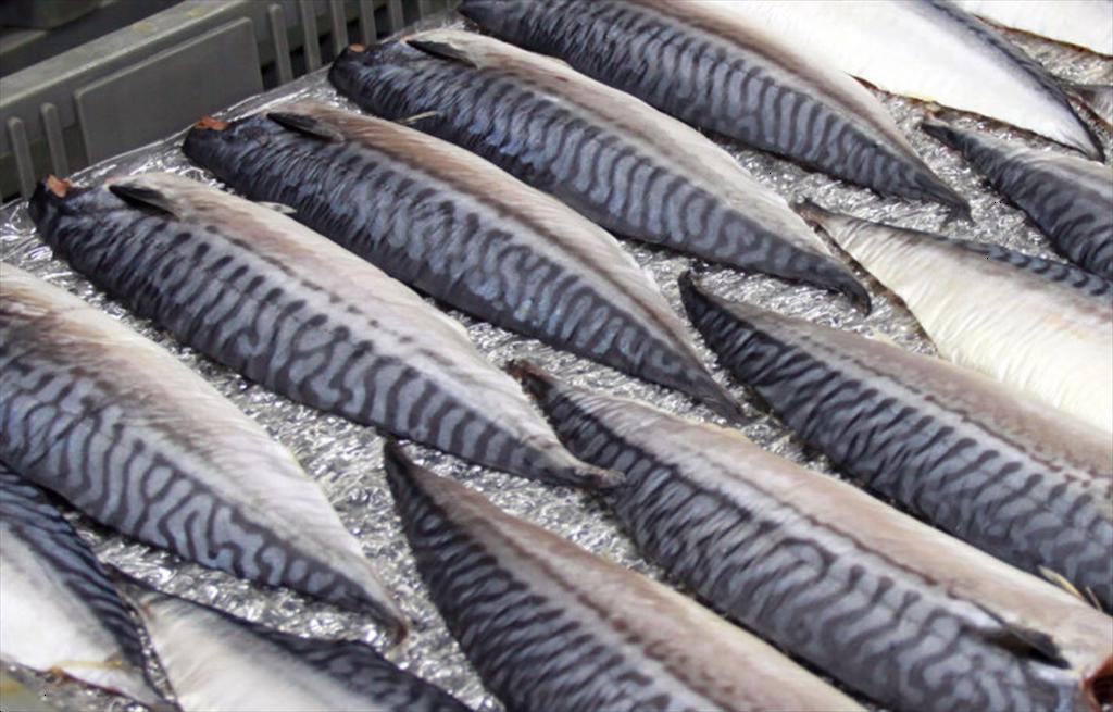 Na Uy giảm giá trị xuất khẩu thủy sản tháng 112025 