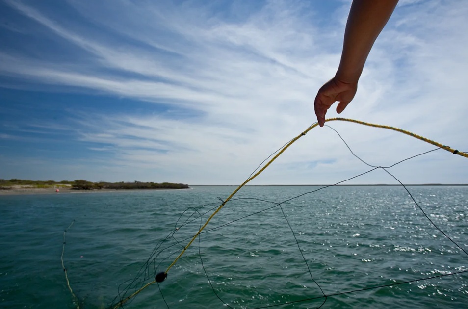 Lạm thác ở Địa Trung Hải và Biển Đen giảm xuống mức thấp nhất trong thập kỷ
