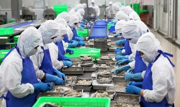 Infographic Xuất khẩu Thuỷ sản của Việt Nam 11 tháng đầu năm 2025