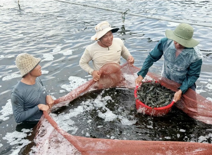 An Giang Developing climate-resilient marine aquaculture