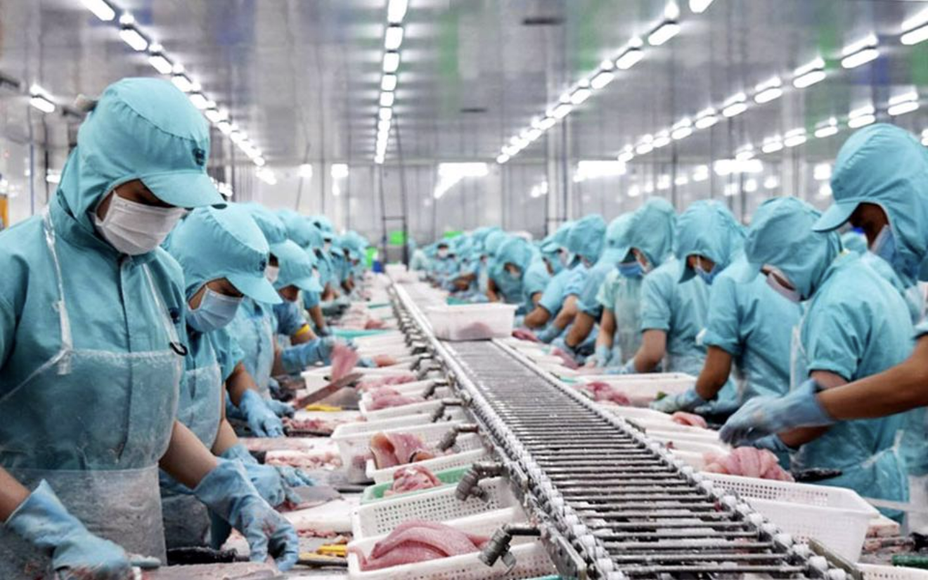 Pangasius exports surpass $2 billion in the first 11 months