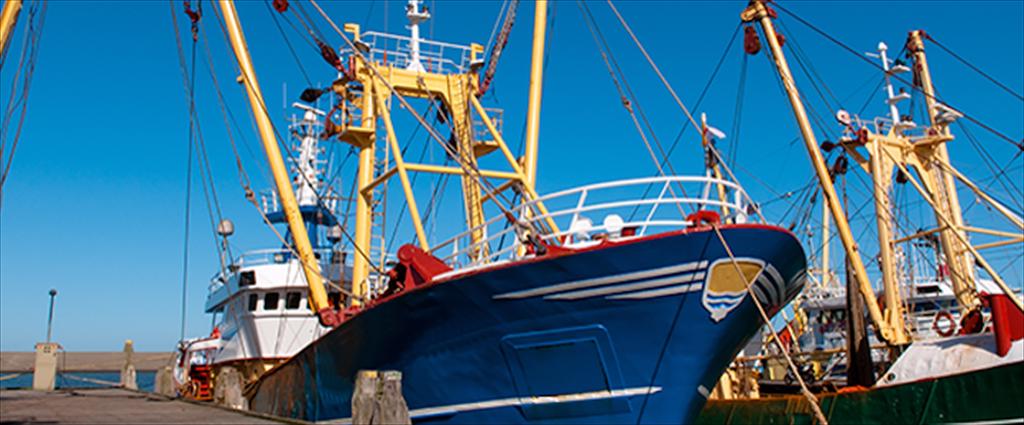 EU ấn định hạn ngạch khai thác thủy sản năm 2026