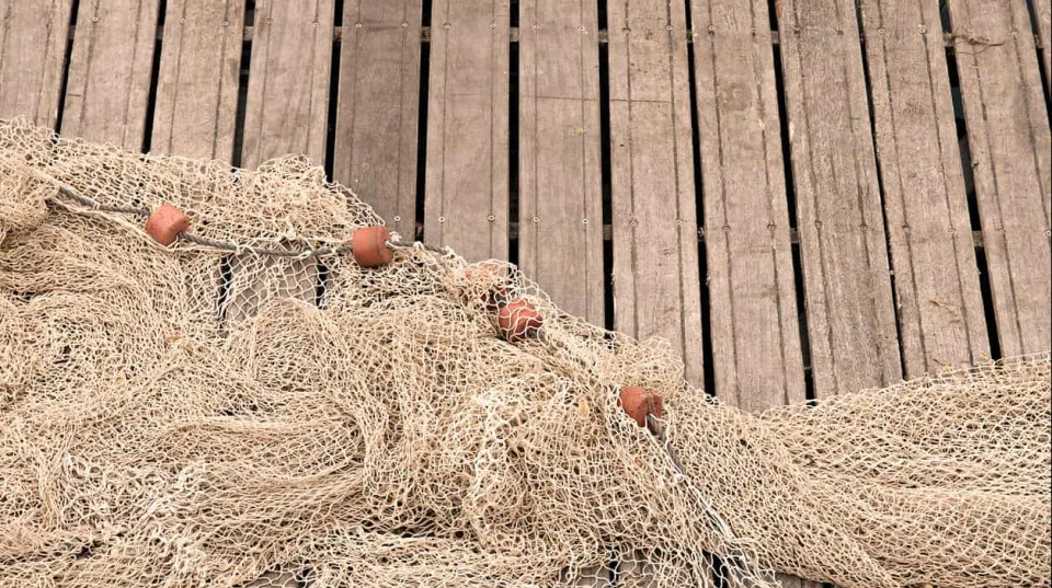 EU công bố hạn ngạch khai thác thủy sản 2026