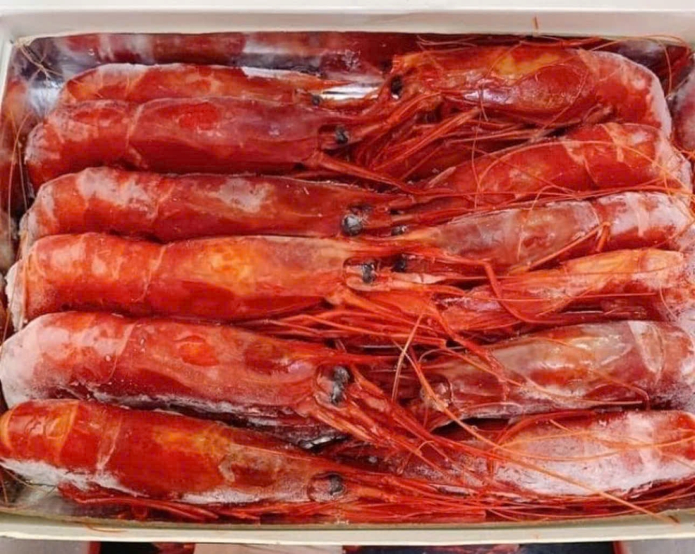 Argentina tăng cường quản lý khai thác tôm đỏ