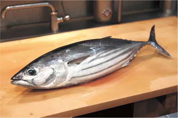 Giá cá ngừ vằn tại Thái Lan giảm còn 1.505 USDtấn