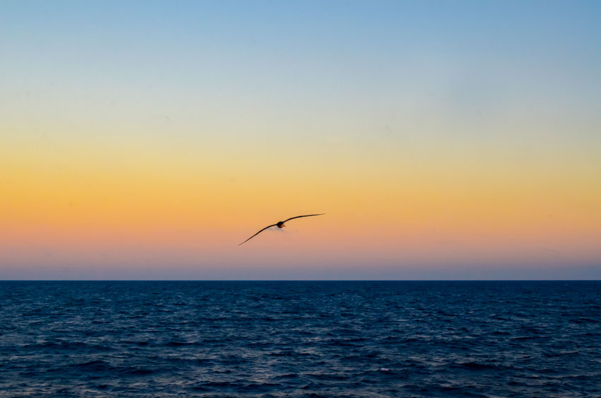 MSC tham gia Hội đồng tư vấn ngành của Trung tâm Khoa học Nghề cá Biển Hoa Kỳ