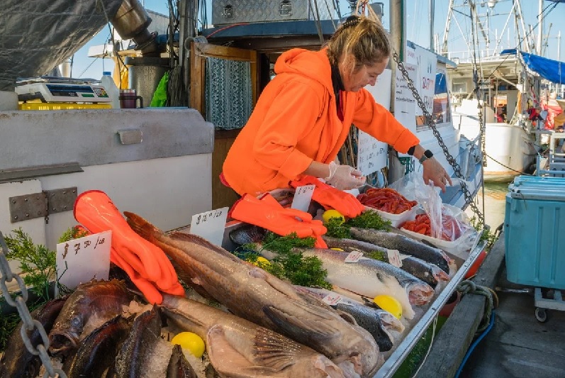 Canada công bố kế hoạch toàn quốc nhằm phục hồi các nguồn lợi thủy sản suy kiệt