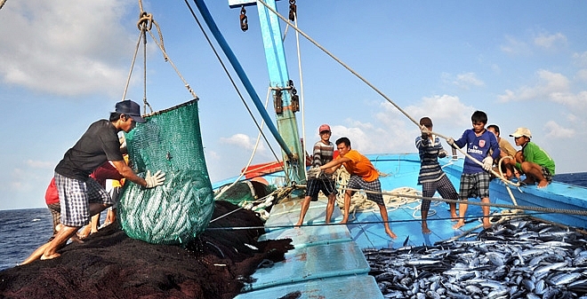 Tay Ninh’s fisheries output declines sharply in november
