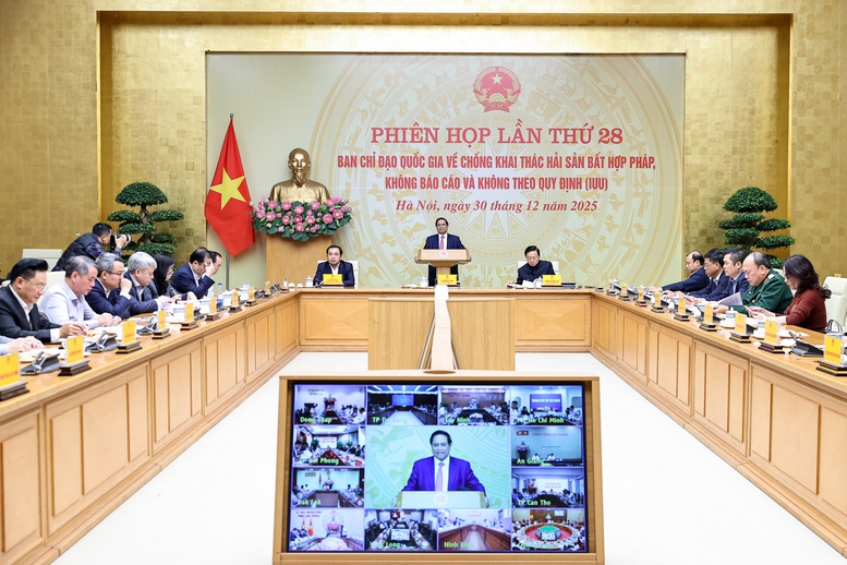 Thủ tướng Trong tuần tới, xử lý dứt điểm các nhiệm vụ được giao trong chống khai thác IUU