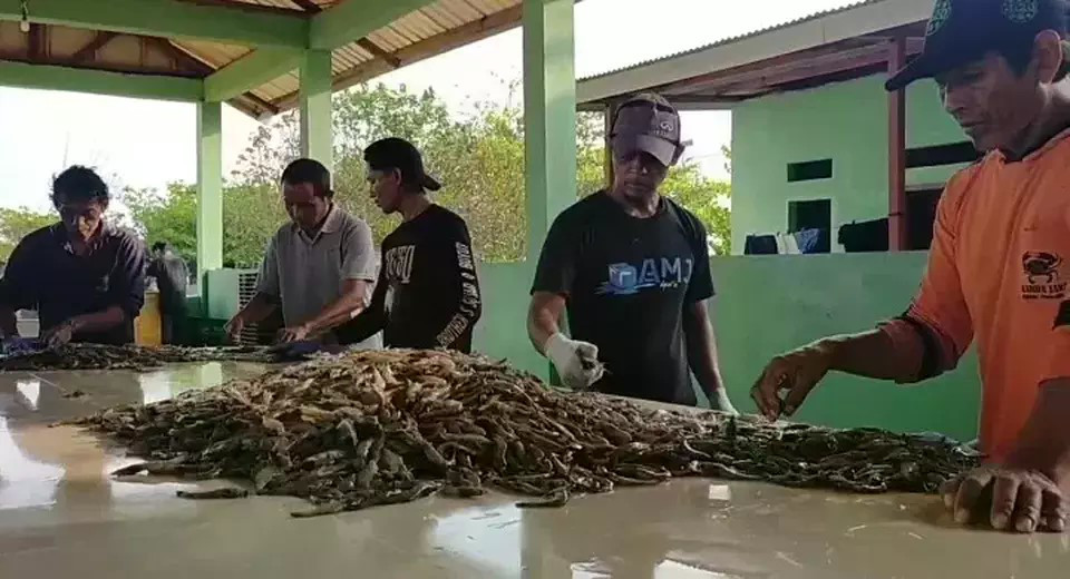 Mỹ mở rộng thu hồi tôm từ Indonesia do lo ngại nhiễm phóng xạ