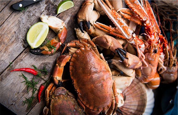 Xuất khẩu thủy sản Na Uy tháng 112025 giảm nhẹ